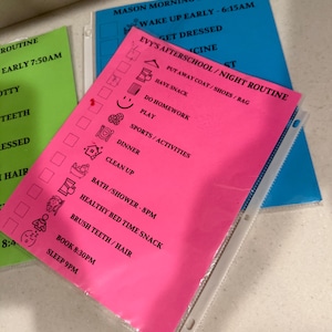 May include: A pink checklist titled "Evy's Afterschool/Night Routine" with a list of activities and icons. The checklist is in a clear plastic sleeve, with a blue checklist behind it. A green checklist is visible on the left.