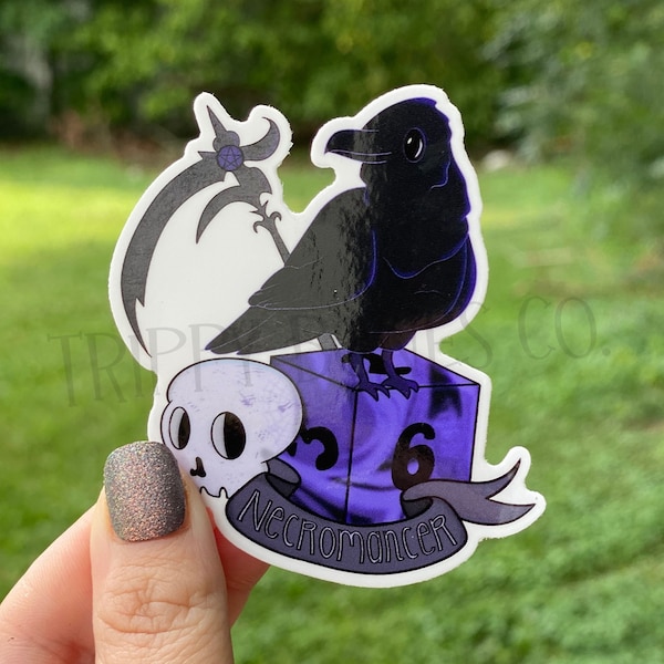 Enchanting Raven Necromancer Vinyl Sticker | D&D Sticker | DND Class Sticker | Necromancer Sticker | Raven Sticker | Vinyl Sticker