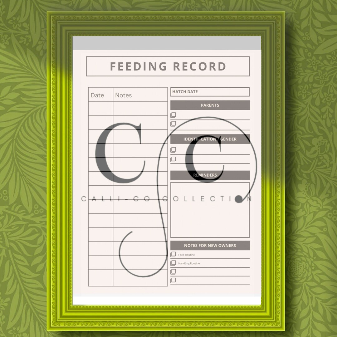 Feeding Record instant Printable Download - Etsy
