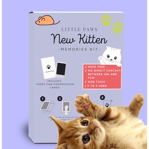 Kitten Paw Print Stamp PLUS trzy karty Paw Progression, dzięki którym możesz śledzić ich wzrost! Mess Free, Kitten, Cat lovers, new cat, new kitten.