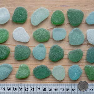Puede incluir: Una colección de veinticuatro piezas de vidrio marino lisas y esmeriladas en varios tonos de verde, blanco y azul claro, dispuestas en cuatro filas. Una moneda de plata se coloca junto a una cinta métrica blanca que muestra centímetros.