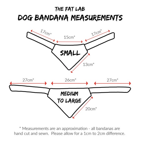 Paw Prints Measured Lab