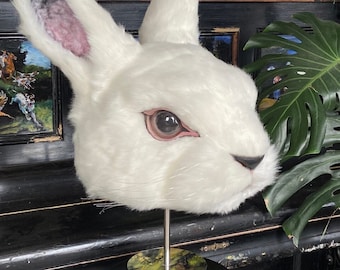 Rabbit from the series "Misfits" (58-62 size)