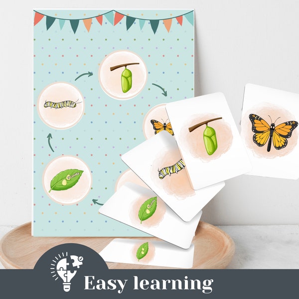 Learning cards butterfly cycle flashcards learning material kindergarten preschool daycare home schooling morning circle Montessori material cards