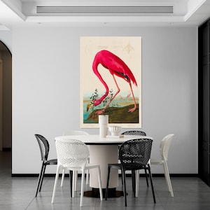 JOHN JAMES AUDUBON - Flamenco rosado (c. 1832) Arte Giclée vintage, Impresión artística / Lienzo y póster de flamenco pájaro Impresión premium de alta calidad