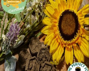 Premium Honeycomb Bee Bomb Gift Box Wildflower Seeds save the bee’s unique shape butterflies  Garden present