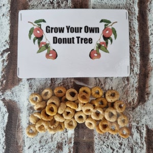Grow your own donut tree joke Stocking Filler secret santa gift sweets Exclusive to Bea Garden UK