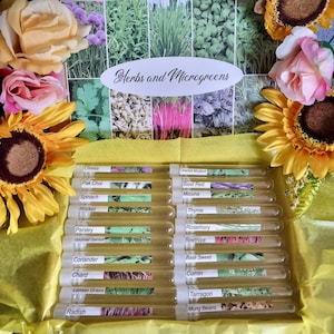 Collezione di semi di erbe e microgreens preferiti dal giardiniere - fatti a mano con semi raccolti a mano, cesto regalo per gli amanti del giardino, erba cipollina.