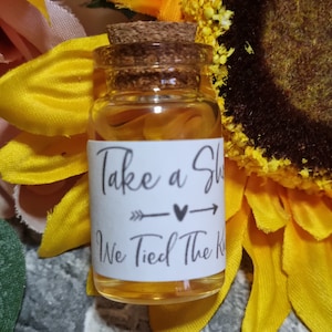 Shot Jar Favours Mini Shot Jars Wedding Shot Glasses Wedding vial Favours Take a Shot we tied the knot novelty gift guests favor party stag