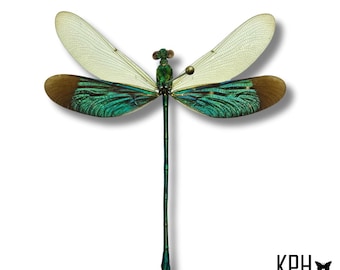 Libélula Neurobasis auténtica: alas extendidas, insecto de calidad artesanal.