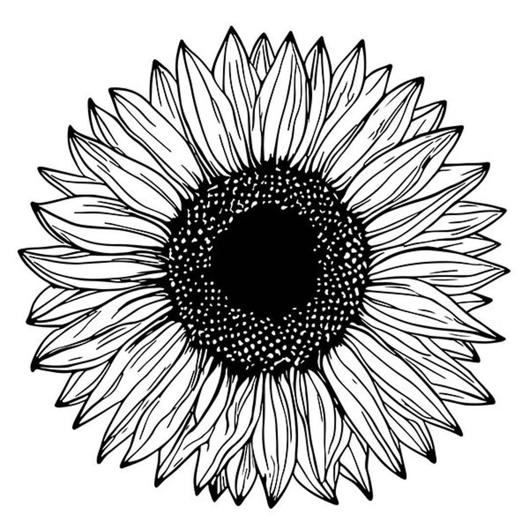 Sunflower SVG, Jpg Files. Digital Download - Etsy