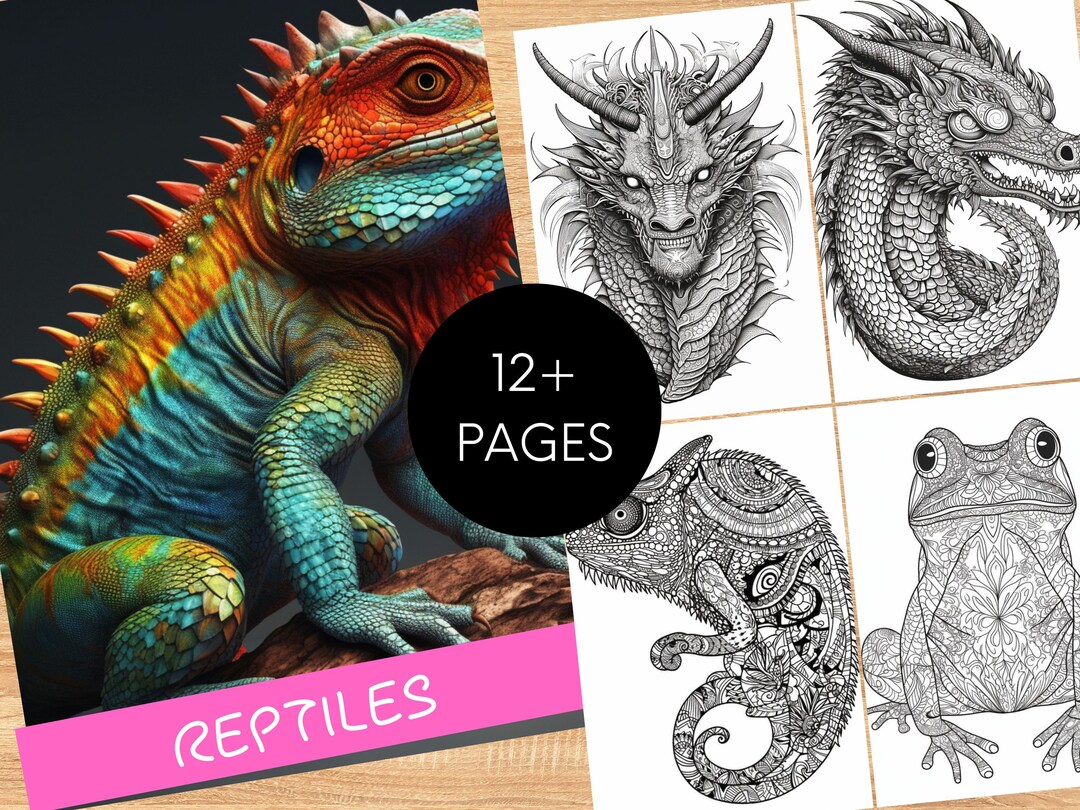 Reptile Coloring Pages Reptile Coloring Book Animal Coloring Pages