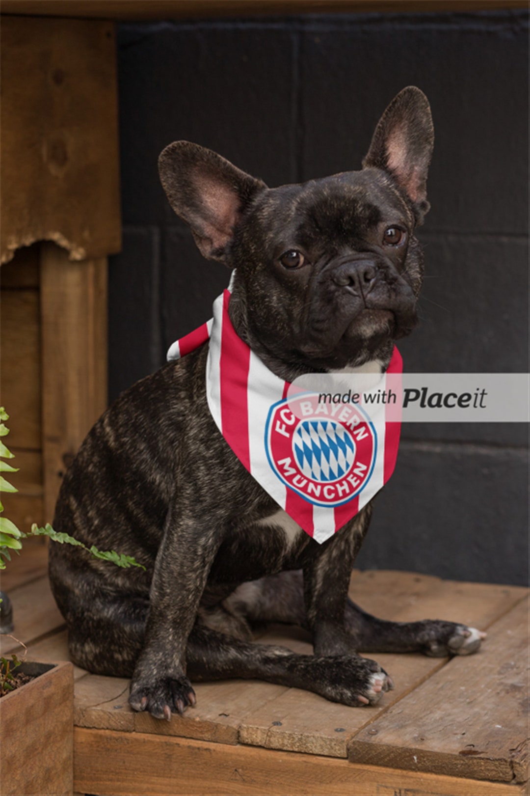 Hundehalstuch Brasilien Fußball-Design – Aus Chiffon, Dreieckig, Für Kleine Bis Große Hunde (2er Pack)