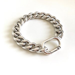 May include: A silver chain bracelet with a silver carabiner clasp.