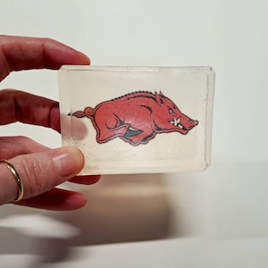 Arkansas Razorback Football Soap UofA