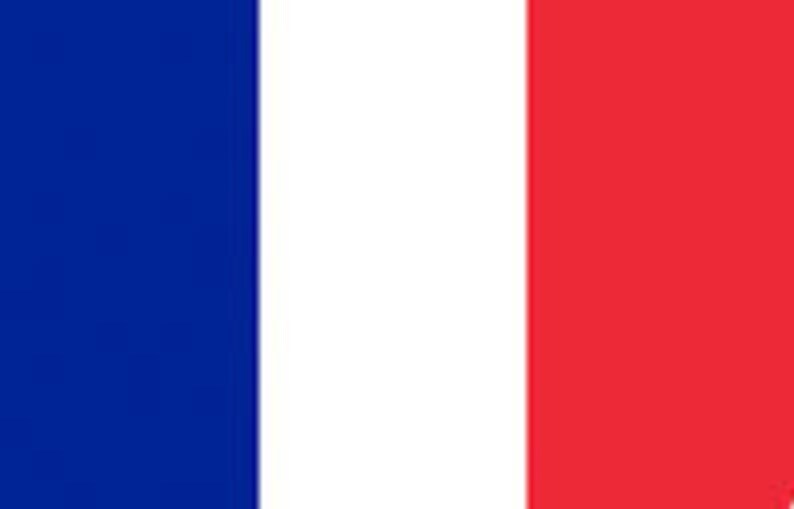 SINGER 3337 Instruction Manual Sewing Machine in English Espanol Et