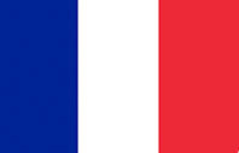 SINGER 44S Instruction Manual Sewing Machine in English Espanol Et