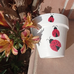 Puede incluir: Maceta de cerámica blanca con tres mariquitas pintadas a mano. Las mariquitas son rojas con puntos negros y contornos negros.