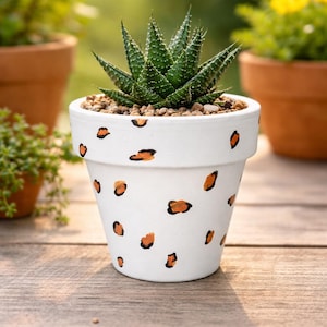 Può includere: Vaso di fiori in ceramica bianca con un motivo leopardato dipinto a mano. Il vaso contiene una pianta succulenta verde e piccoli ciottoli. Il vaso è appoggiato su una superficie di legno, con altre piante sullo sfondo.