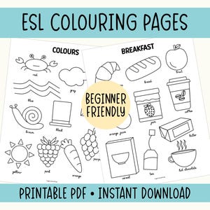 Engelse kleurplaten: woordenschat ESL leren (33 pagina's)