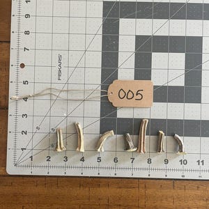 May include: A collection of small, beige antler pieces arranged on a gray cutting mat with a grid pattern. A tag labeled "005" is attached. The antlers vary in shape and size, with a natural, textured appearance.