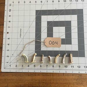 May include: A collection of seven small, curved, beige-colored objects, possibly decorative elements or craft supplies, arranged on a grid cutting mat. A tag labeled "004" is attached.