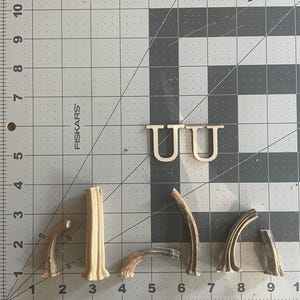 Lot De 40 Tiges Séchées De Courge / Citrouille - 3 à 5 Pouces (7-12 Cm) - Pour Crafts