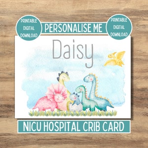 Cartão de nome do bebê para incubadora de UTIN, Preemie Isolette, Placa de nome do berço do hospital, Presente personalizado de dinossauro para prematuros, Download digital