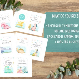 Dinosaur Baby Milestone Cards, Baby Shower Gift, Baby Keepsake Cards ...