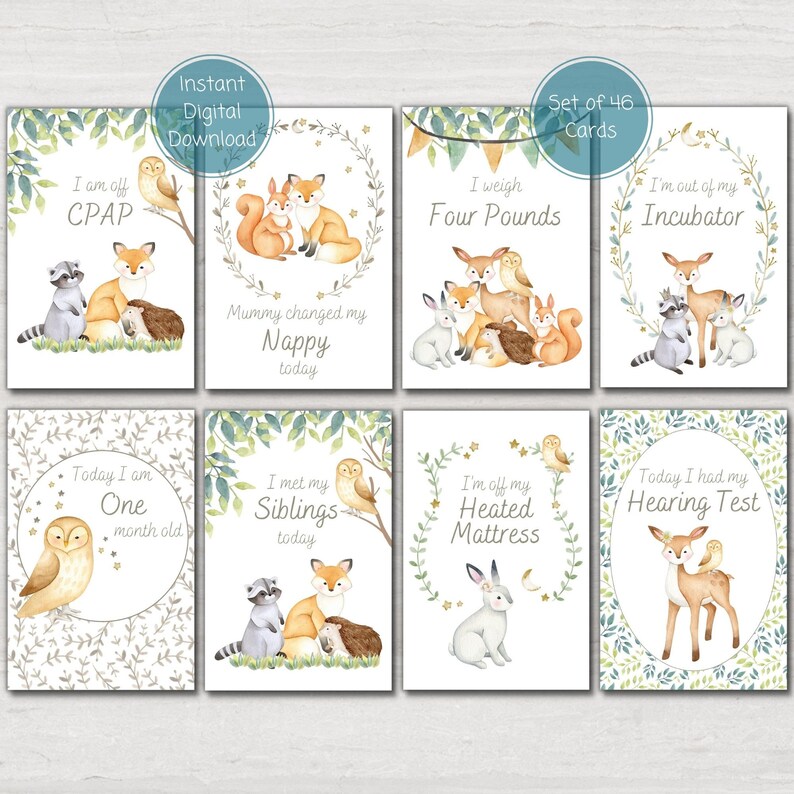 NICU Milestone Gift Bundle, Woodland Animal Preemie Baby Milestone ...