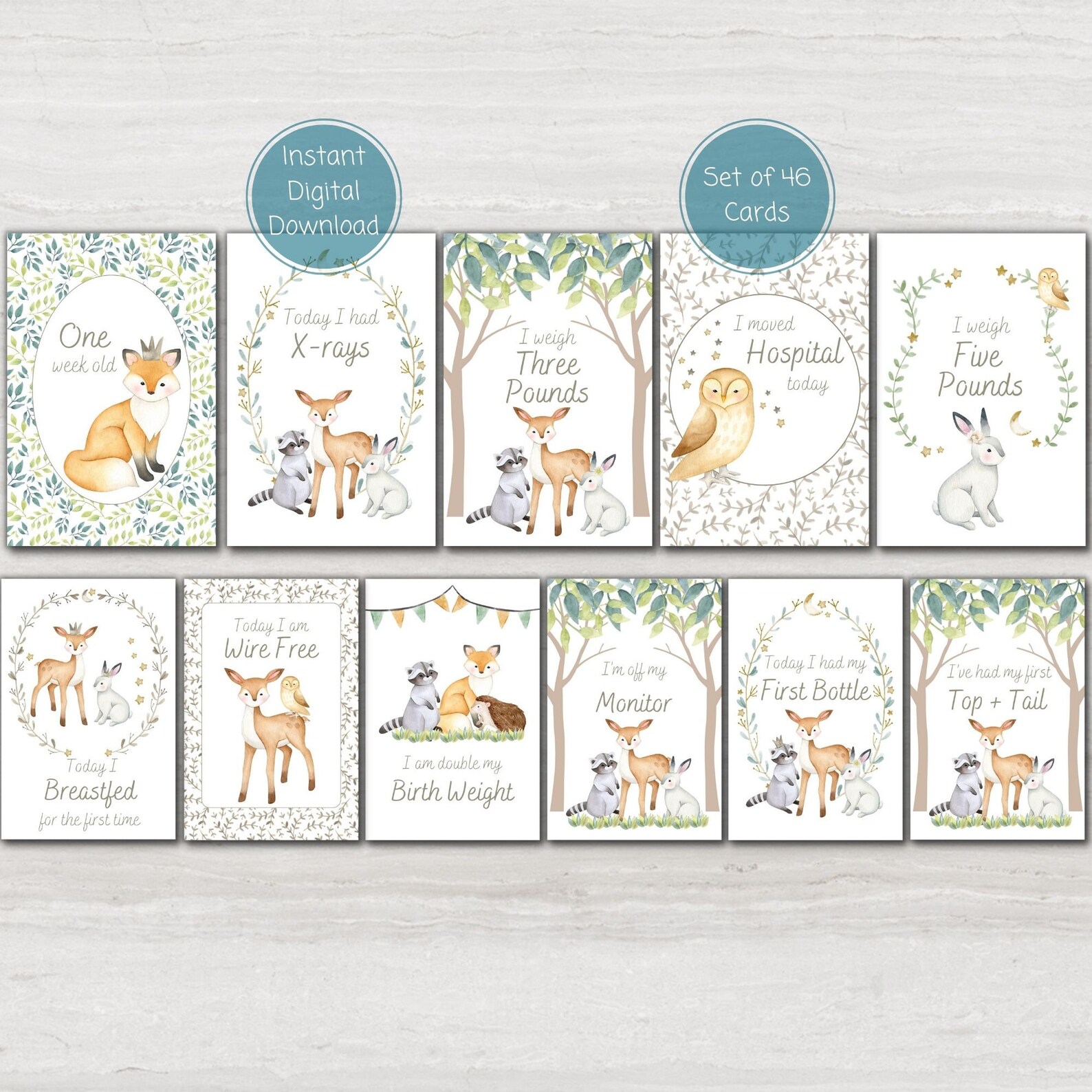 NICU Milestone Gift Bundle, Woodland Animal Preemie Baby Milestone ...