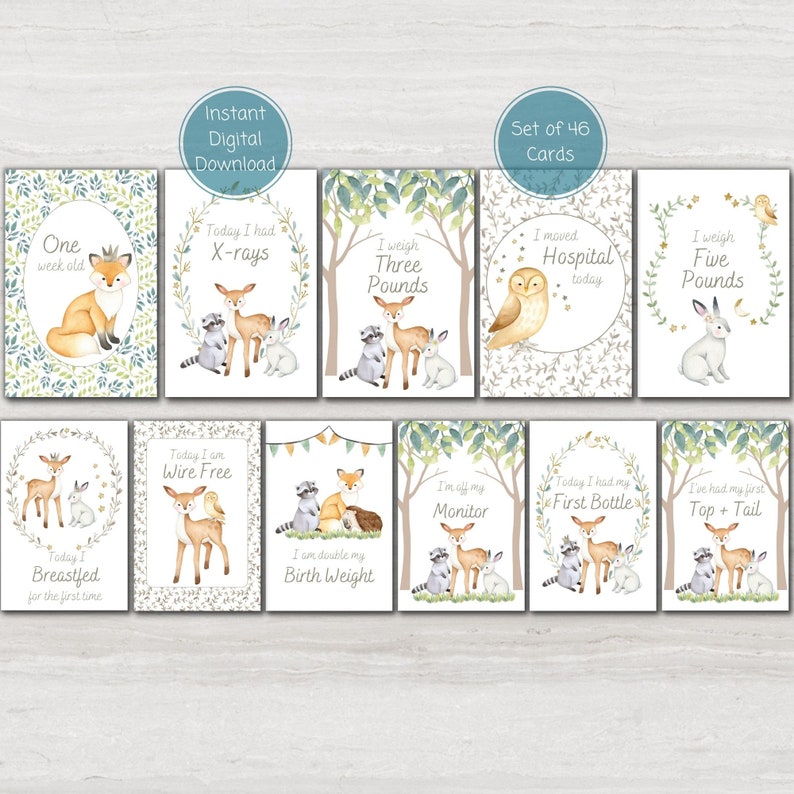 NICU Milestone Gift Bundle, Woodland Animal Preemie Baby Milestone ...