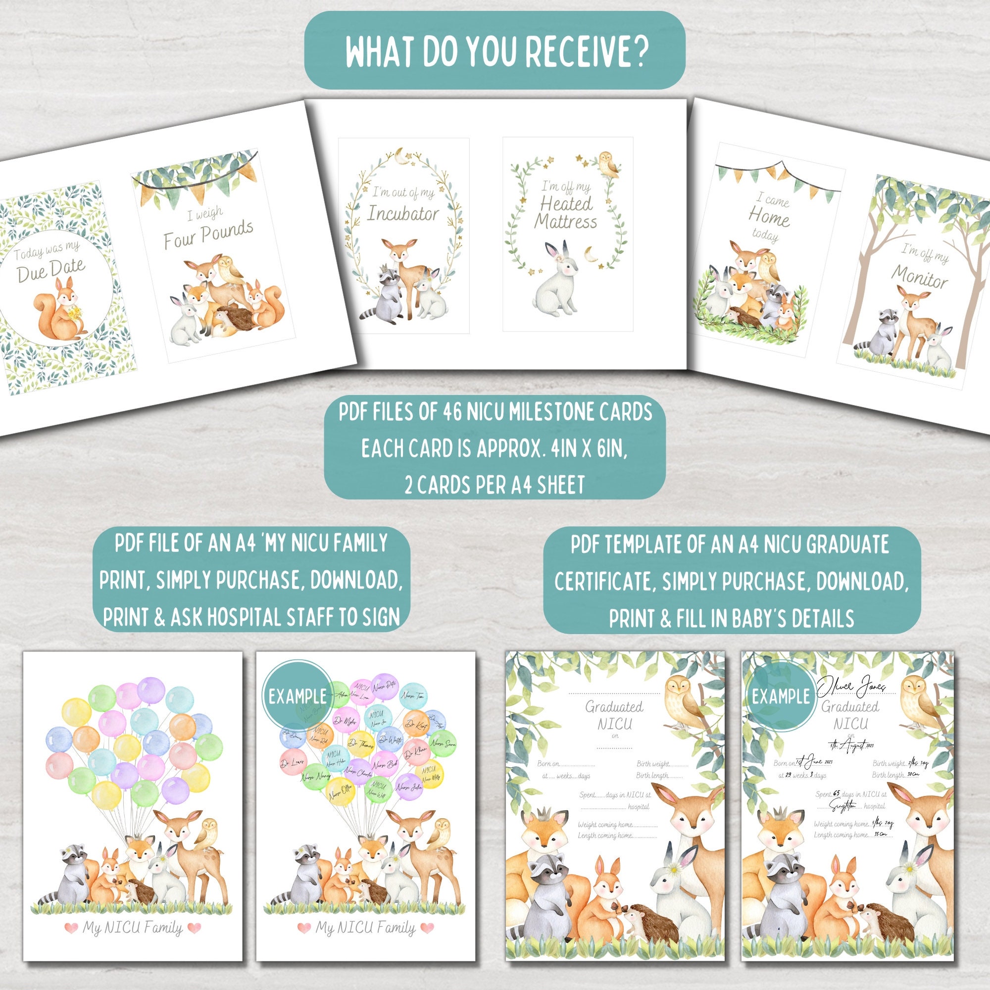 NICU Milestone Gift Bundle, Woodland Animal Preemie Baby Milestone ...