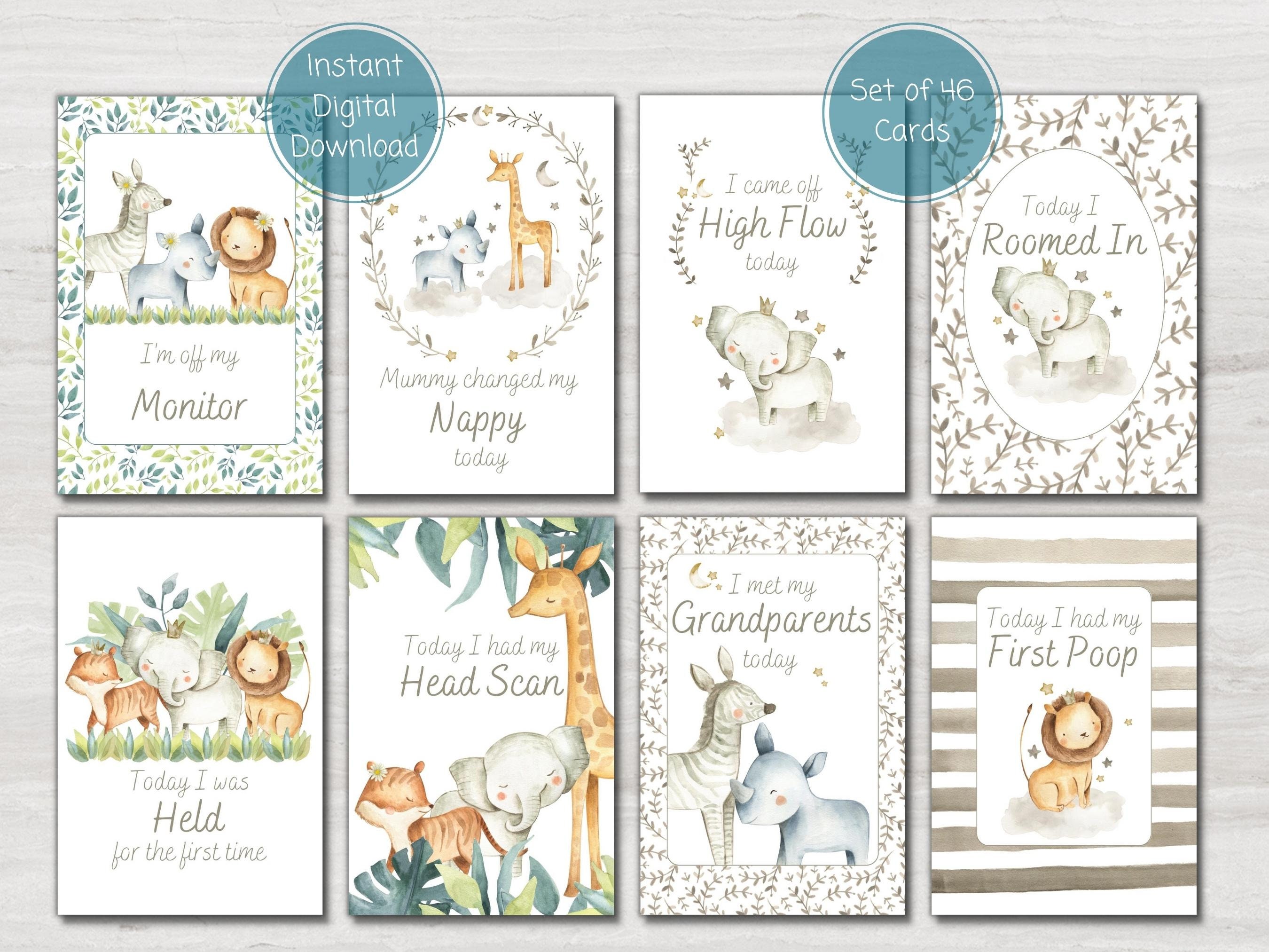 NICU Milestone Gift Bundle, Safari Animal Preemie Baby Milestone Cards ...