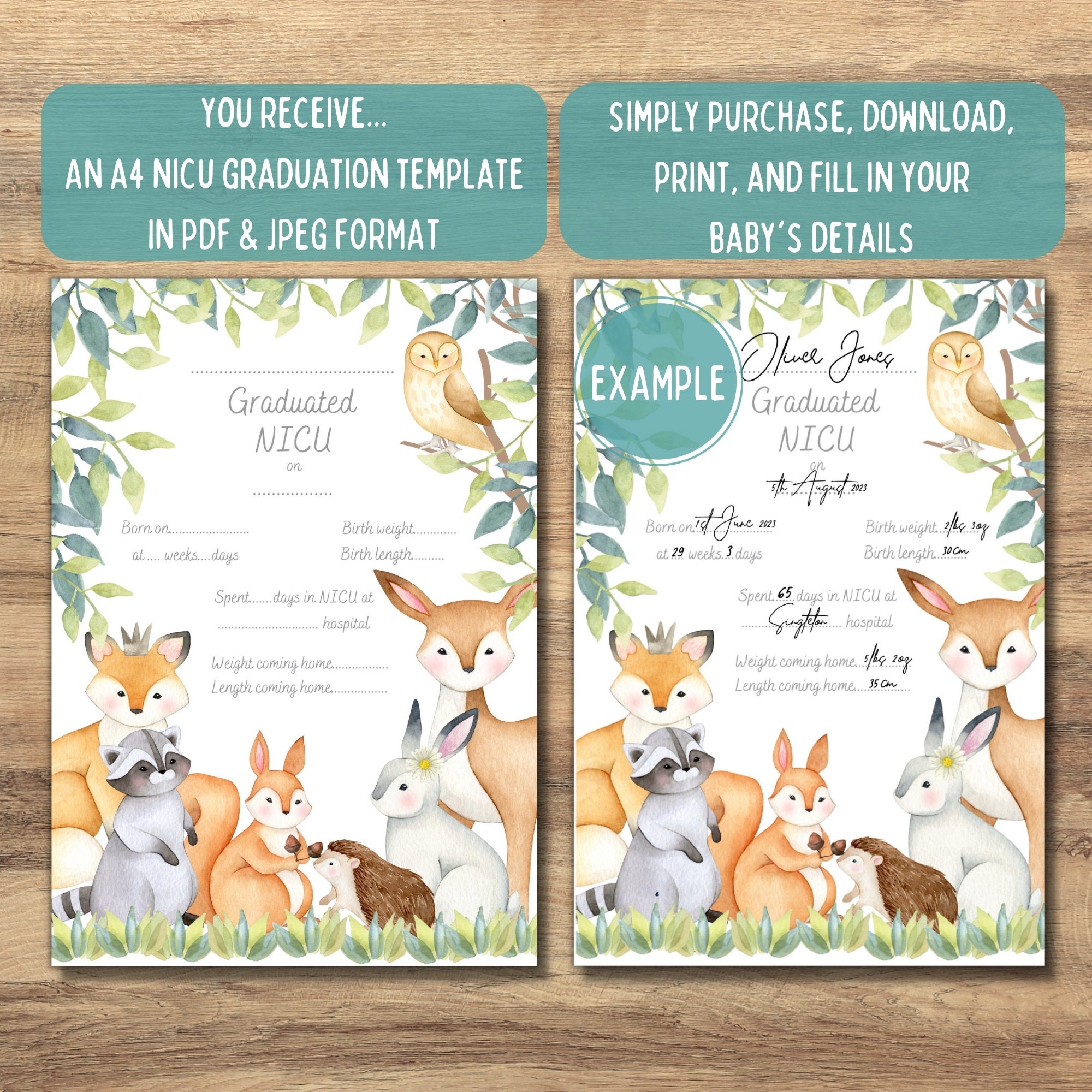 Woodland Animal NICU Graduate Certificate, NICU Grad, Preemie Baby NICU ...