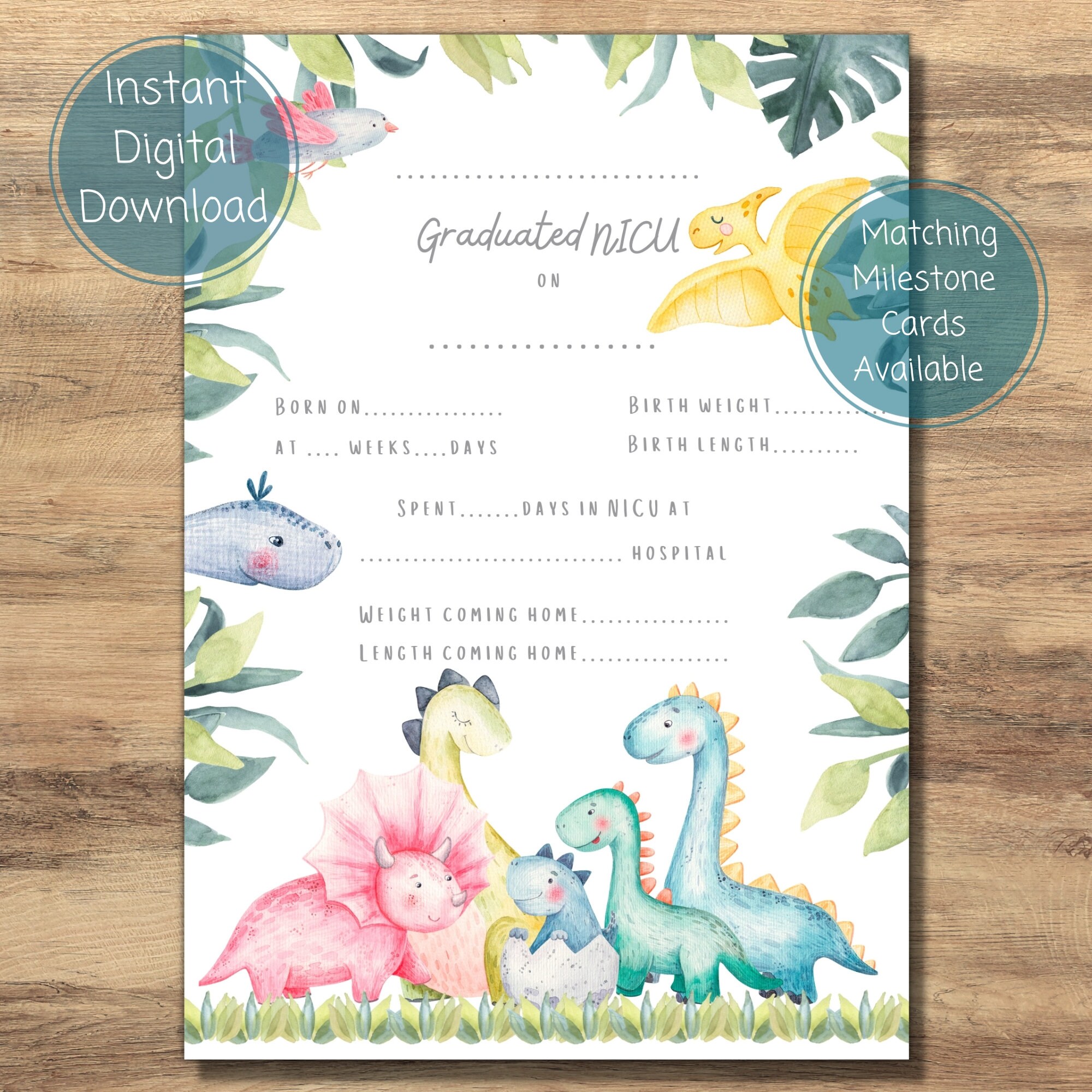 Dinosaur NICU Graduate Certificate, NICU Grad, Preemie Baby NICU ...