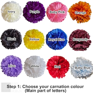 May include: A selection of 12 carnations in various colours, including ivory, purple, baby pink, orange, black, yellow, royal blue, burgundy, lilac, white, red, and baby blue. Step 1: Choose your carnation colour (Main part of letters).