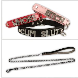 Conjunto de collar y correa, collar gargantilla personalizado para mujer, collar con cadena y correa para mascotas, collar con subnombres, iniciales y subcorrea.
