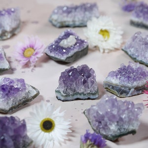 Peut inclure: Une collection de grappes de cristal d'améthyste, chacune avec une forme et une taille uniques, disposées sur une surface rose pâle avec des fleurs séchées.