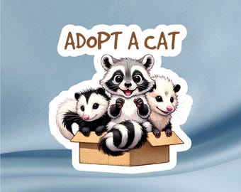 Adopt A Cat Sticker: Funny Racoon & Possum Gloss Vinyl Decal