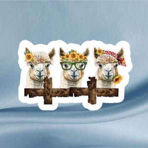 Pegatinas de un trío de alpacas y girasoles: divertidas pegatinas de animales de granja para diarios, portátiles, botellas de agua, vasos, cuadernos, Kindles y revistas.