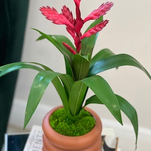 Gorgeous Red Faux Bromeliad Plant, Lifelike Greenery in Ribbed Terracotta Pot, Decorative Faux Bromeliad, Lifelike Plant Potted