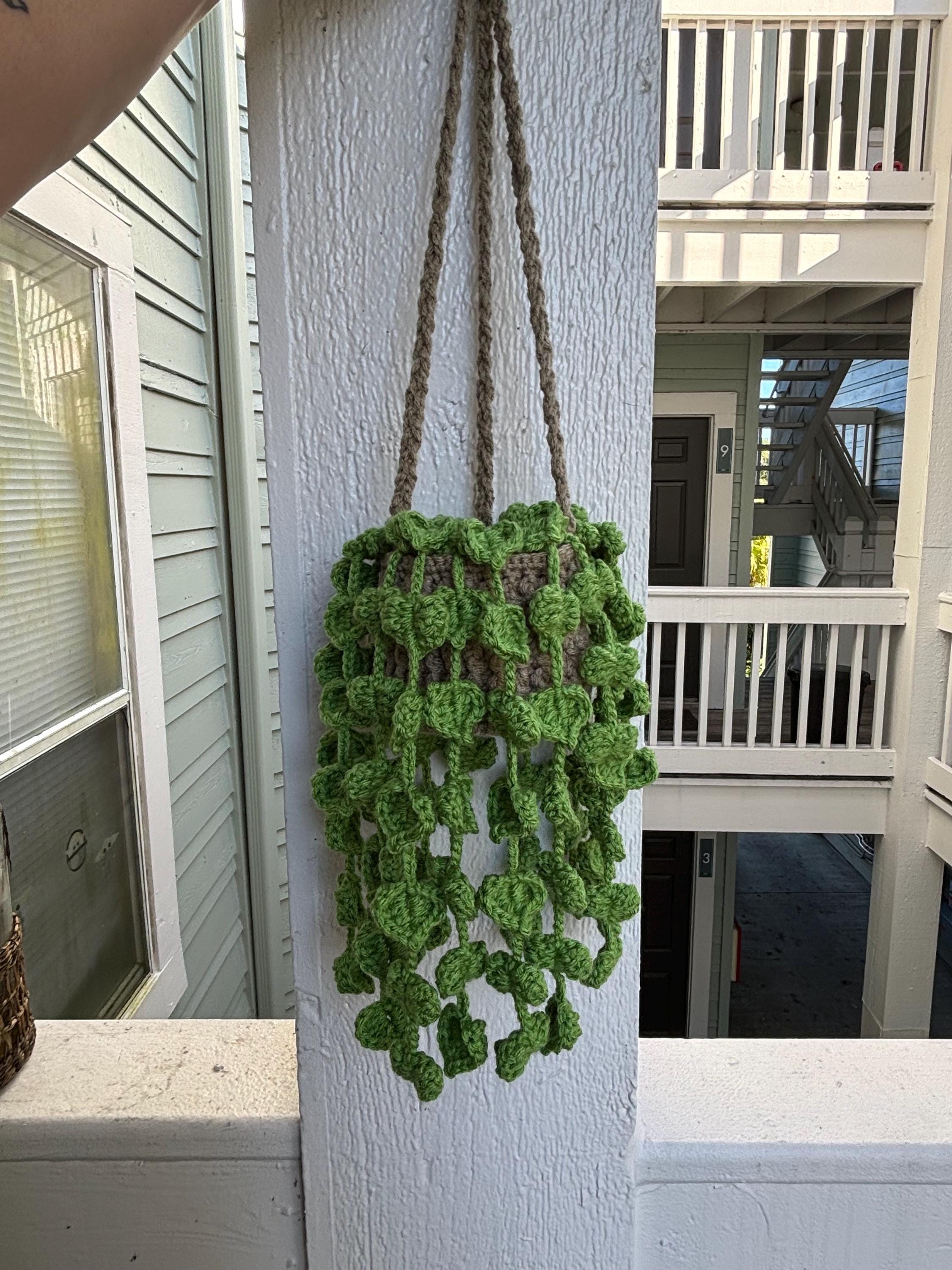 Daisy and Vanilla scented crochet hanging plant.