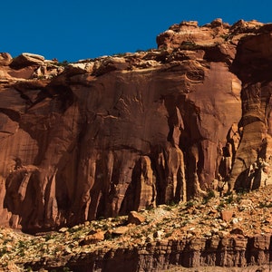 Dixie National Park USA