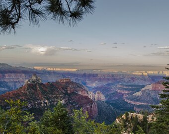May include: A panoramic view of a canyon with layered rock formations, showing a variety of colors, including red, brown, and purple. The canyon is surrounded by trees, including pine trees and other evergreen trees. The sky is a light blue with white clouds.