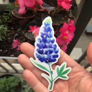 Texas Bluebonnet 4 Inch Vinyl Sticker