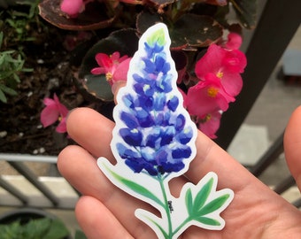 Texas Bluebonnet 4 Inch Vinyl Sticker