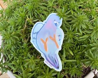 Cute Pigeon Vinyl Sticker
