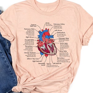 Heart Anatomy Shirt, Gift For Nurses, Nurse Gift, Cardiac Nurse Tee, Hearth Anatomy Shirt, Cardiology Shirt, Medical Student Gift, Nurse Tee