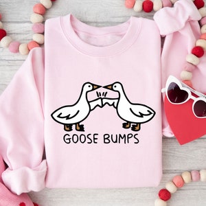 May include: A pink sweatshirt with a graphic of two geese facing each other with the text "Goose Bumps" underneath.